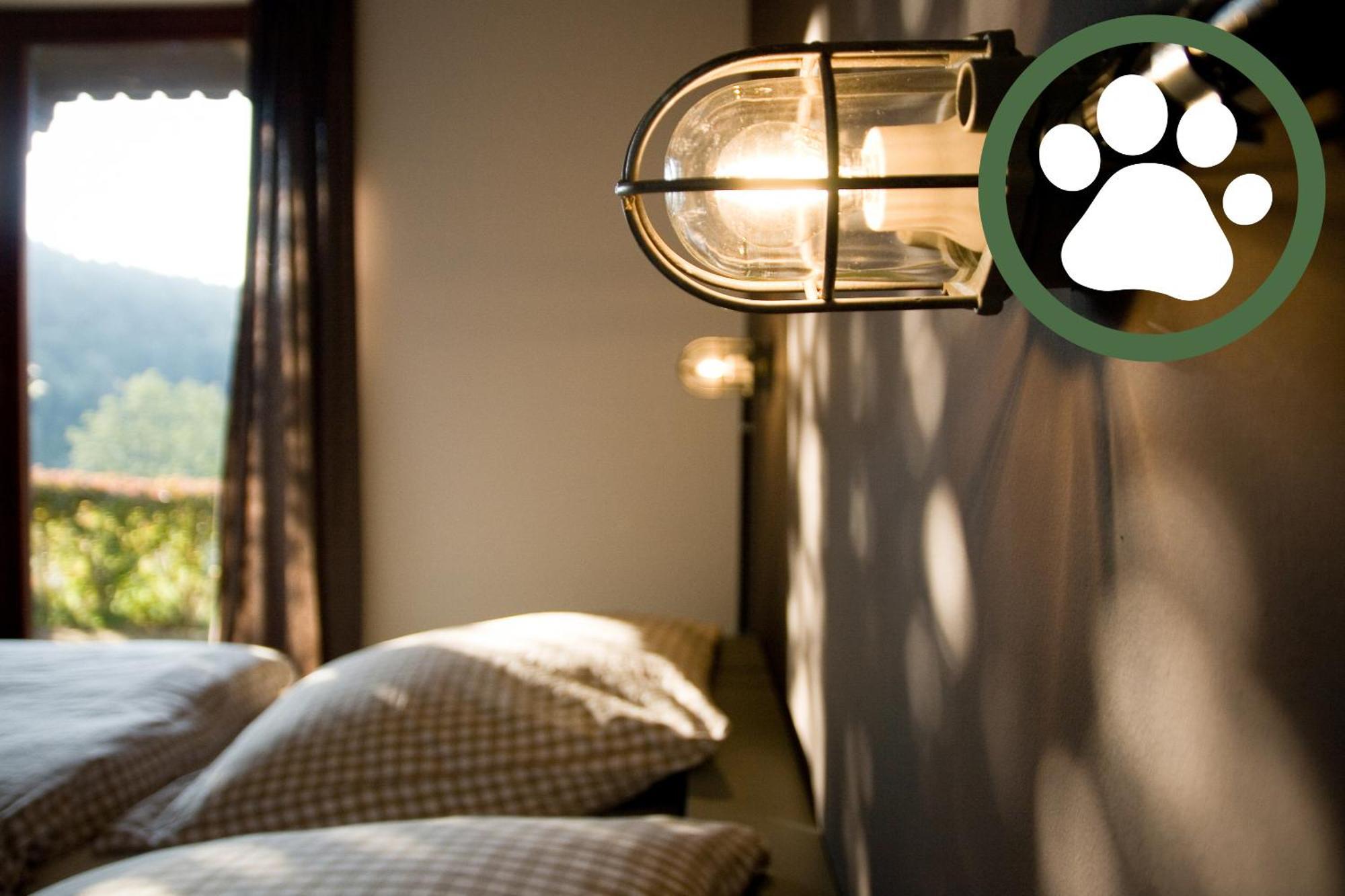 Harz Bnb Werkmeister Sankt Andreasberg Phòng bức ảnh